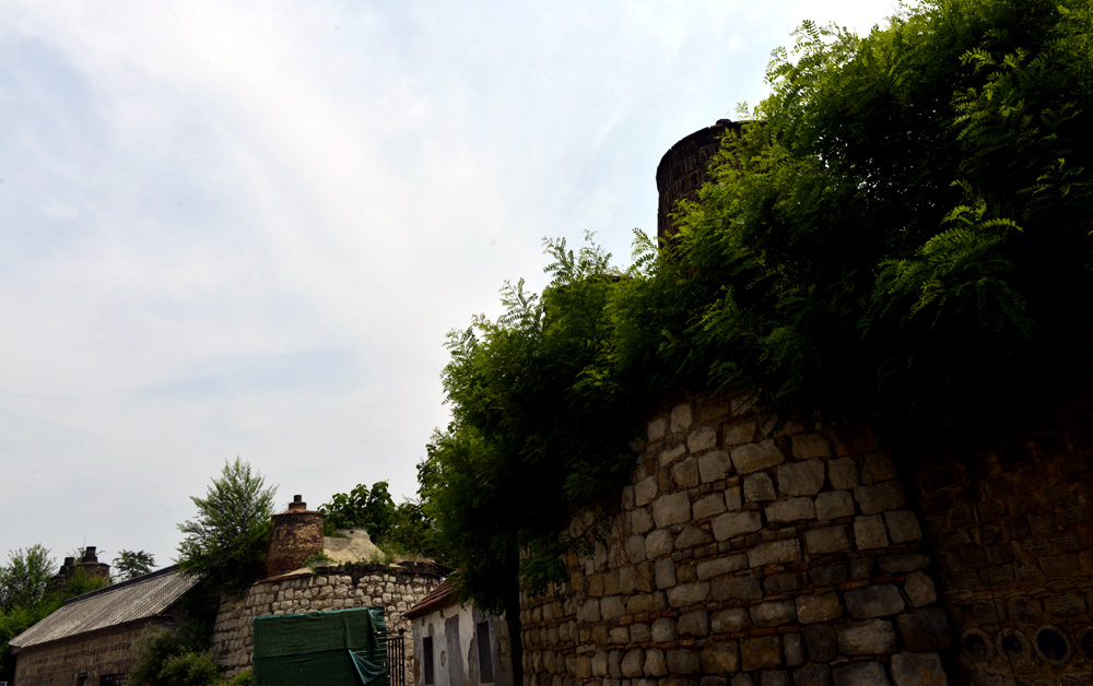 _DSC0446.JPG