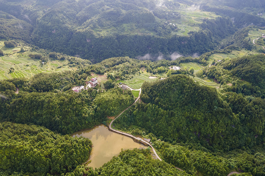 DJI_01881.jpg