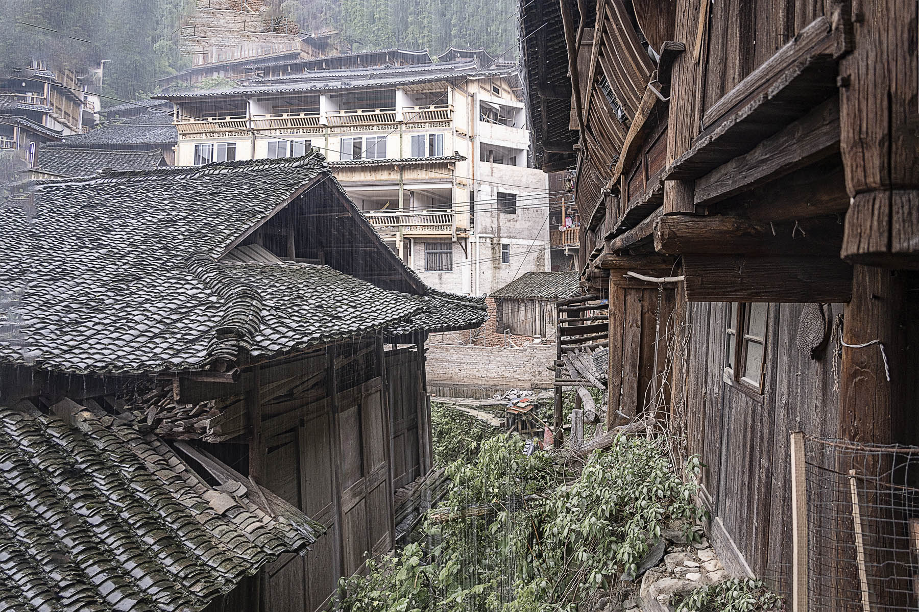 DSC_3277-1.jpg