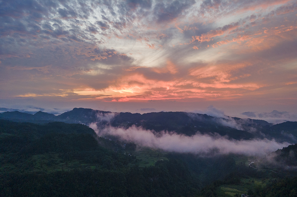 DJI_02521.jpg