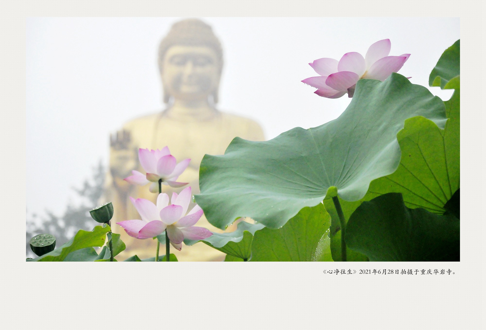 _DSC0338_副本_副本.jpg