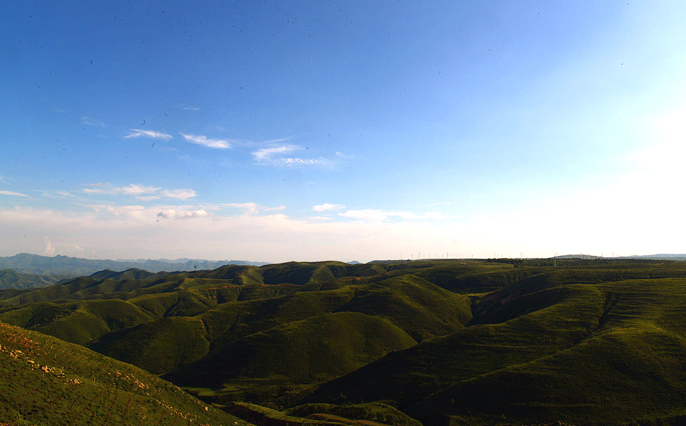 DSC_4595.JPG