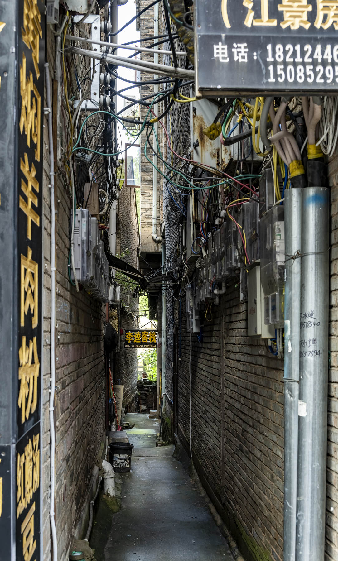 DSC_3556-1.jpg