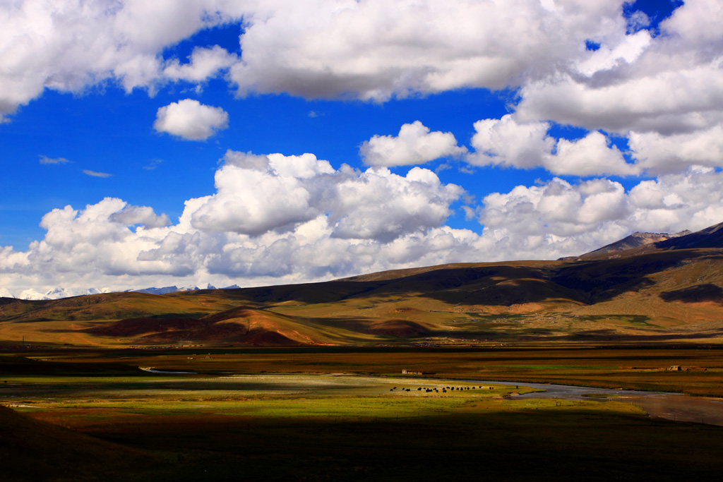 _MG_0998.JPG
