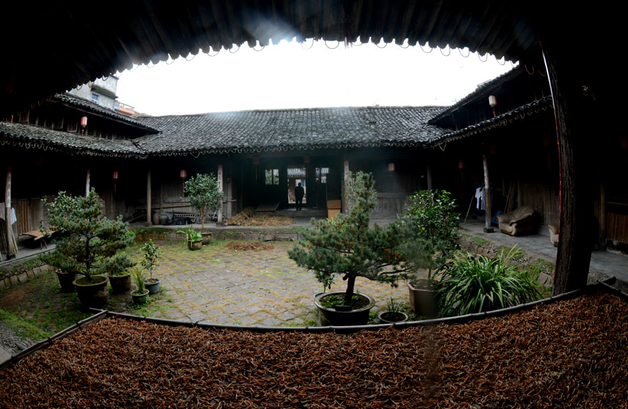 DSC_7145.jpg