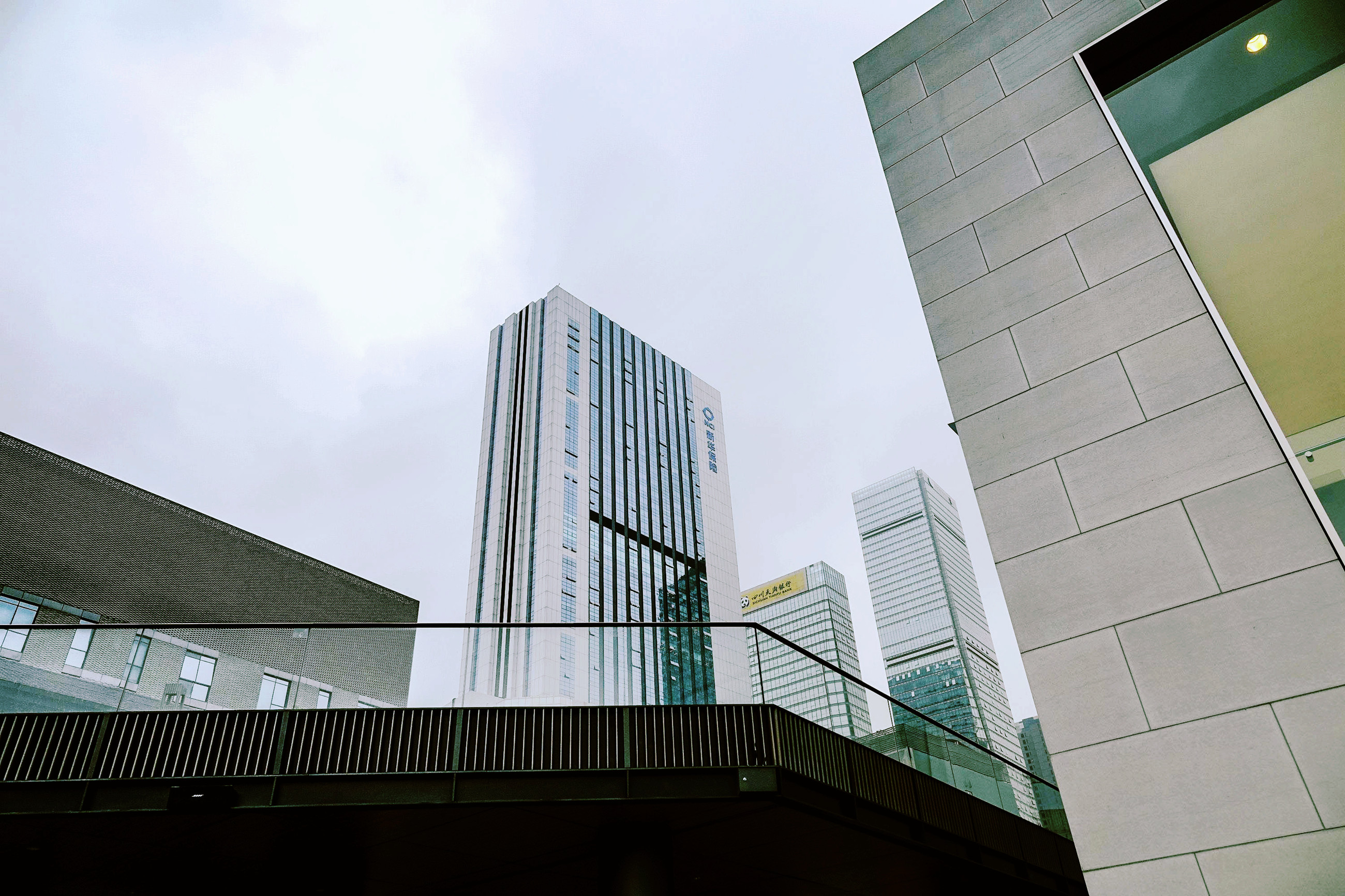 DSC09827.jpg
