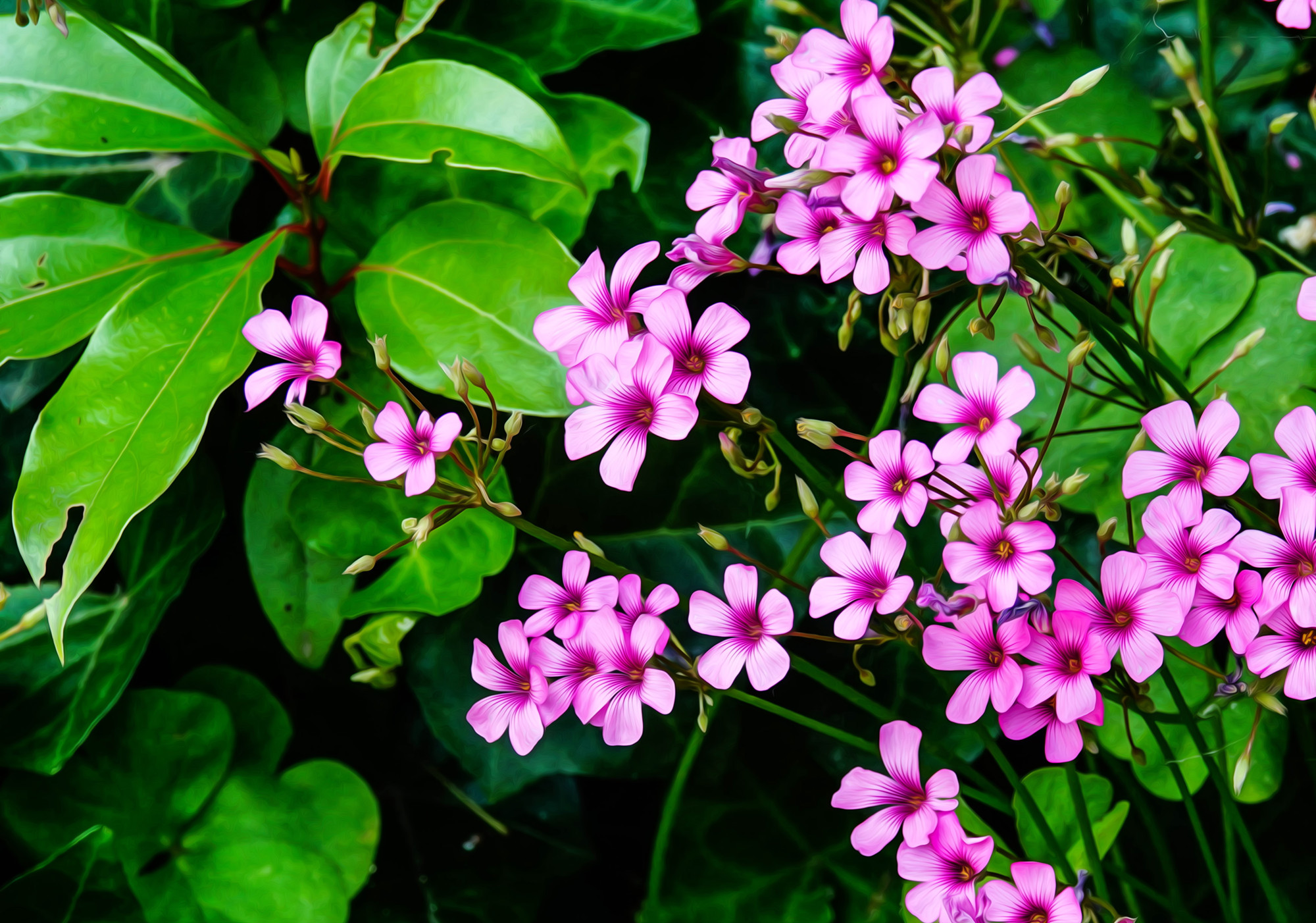 DSC02945_副本.jpg