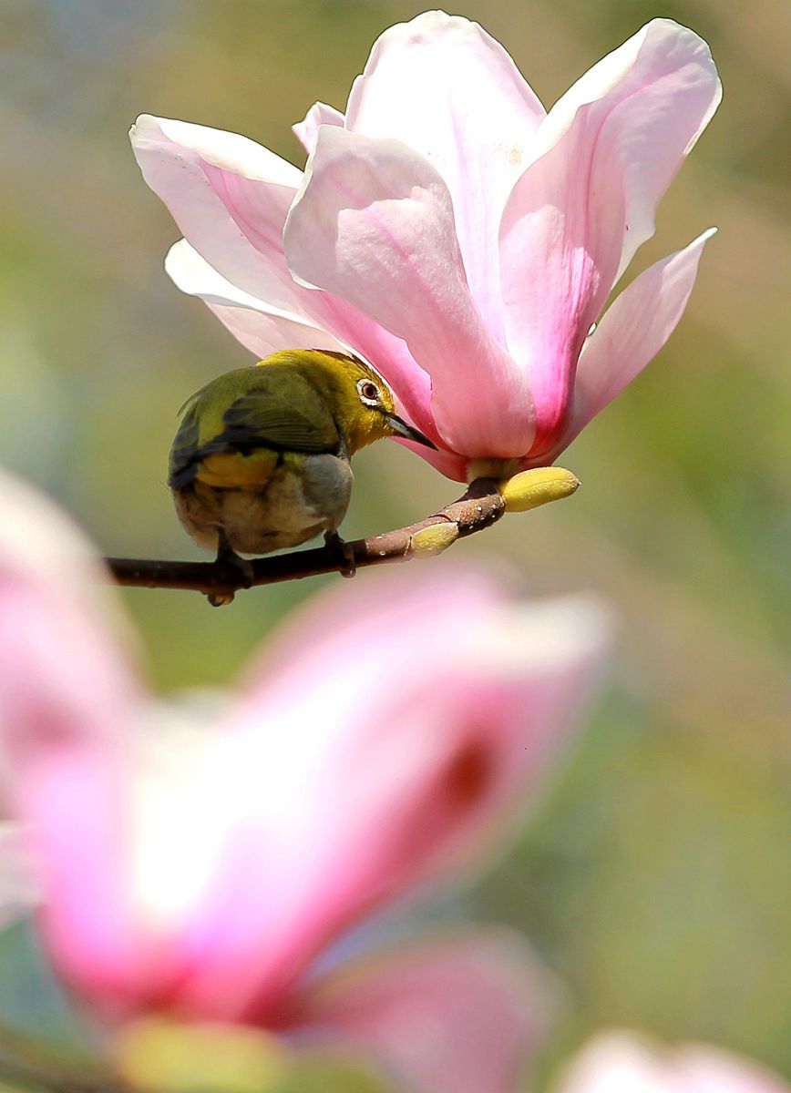 IMG_7864_副本1.jpg