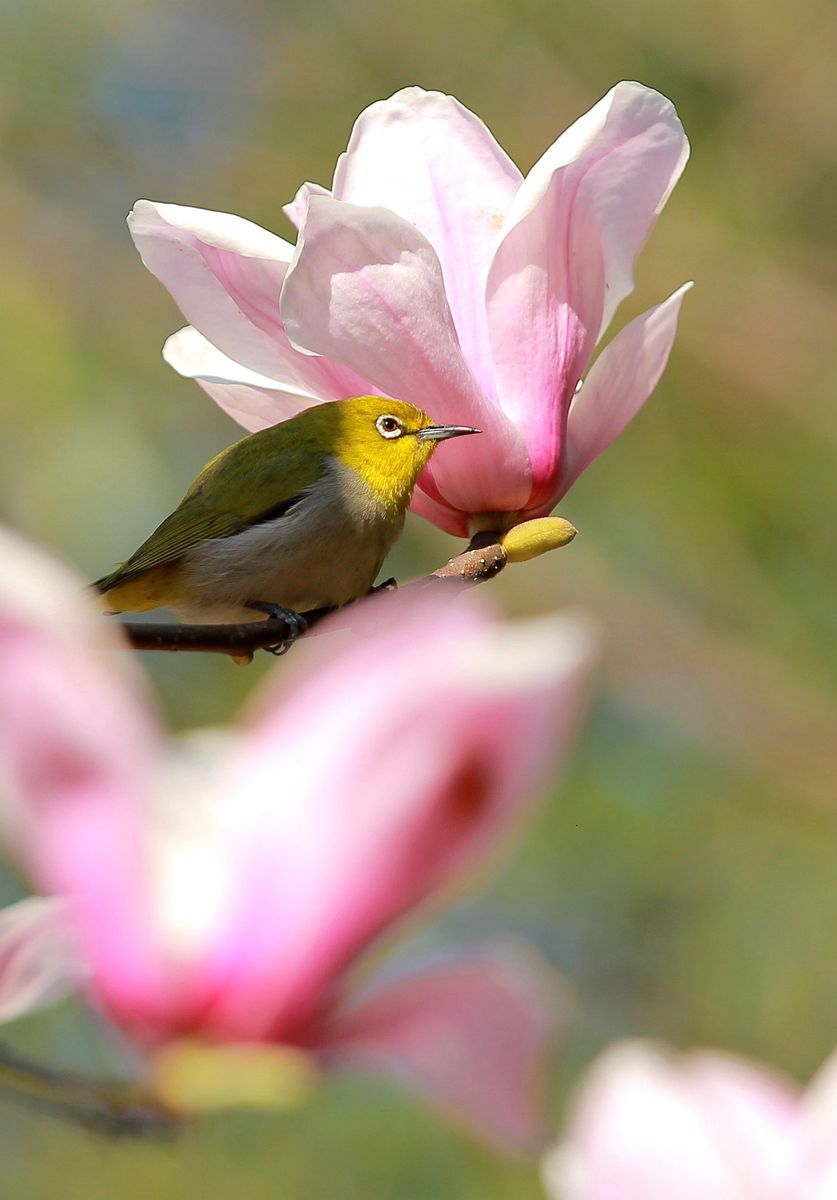 IMG_7873_副本1.jpg