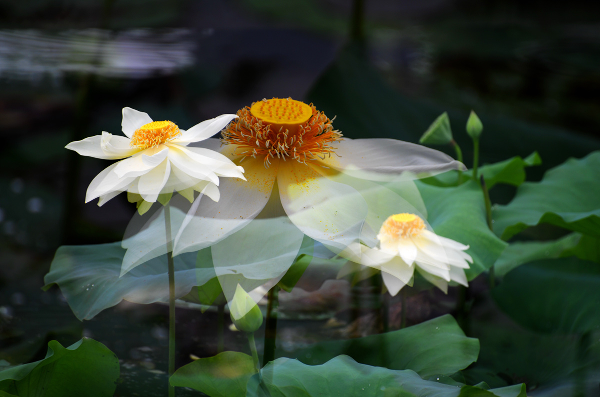 DSC_1413_副本.jpg