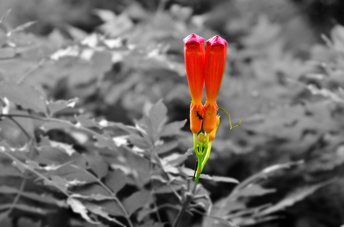 DSC_0054_副本_副本.jpg