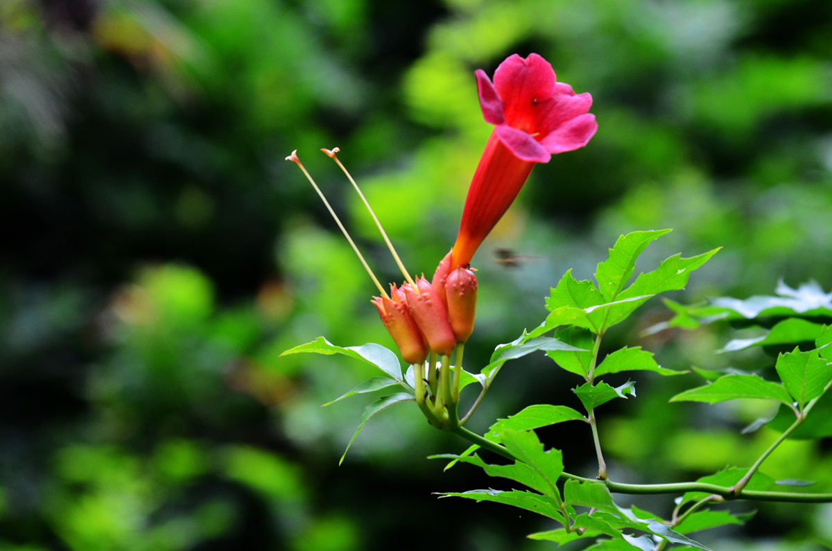 DSC_0084_副本.jpg