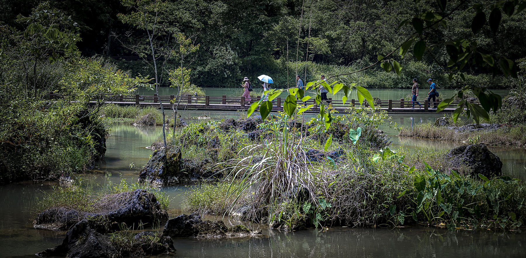 DSC_3140-1.jpg