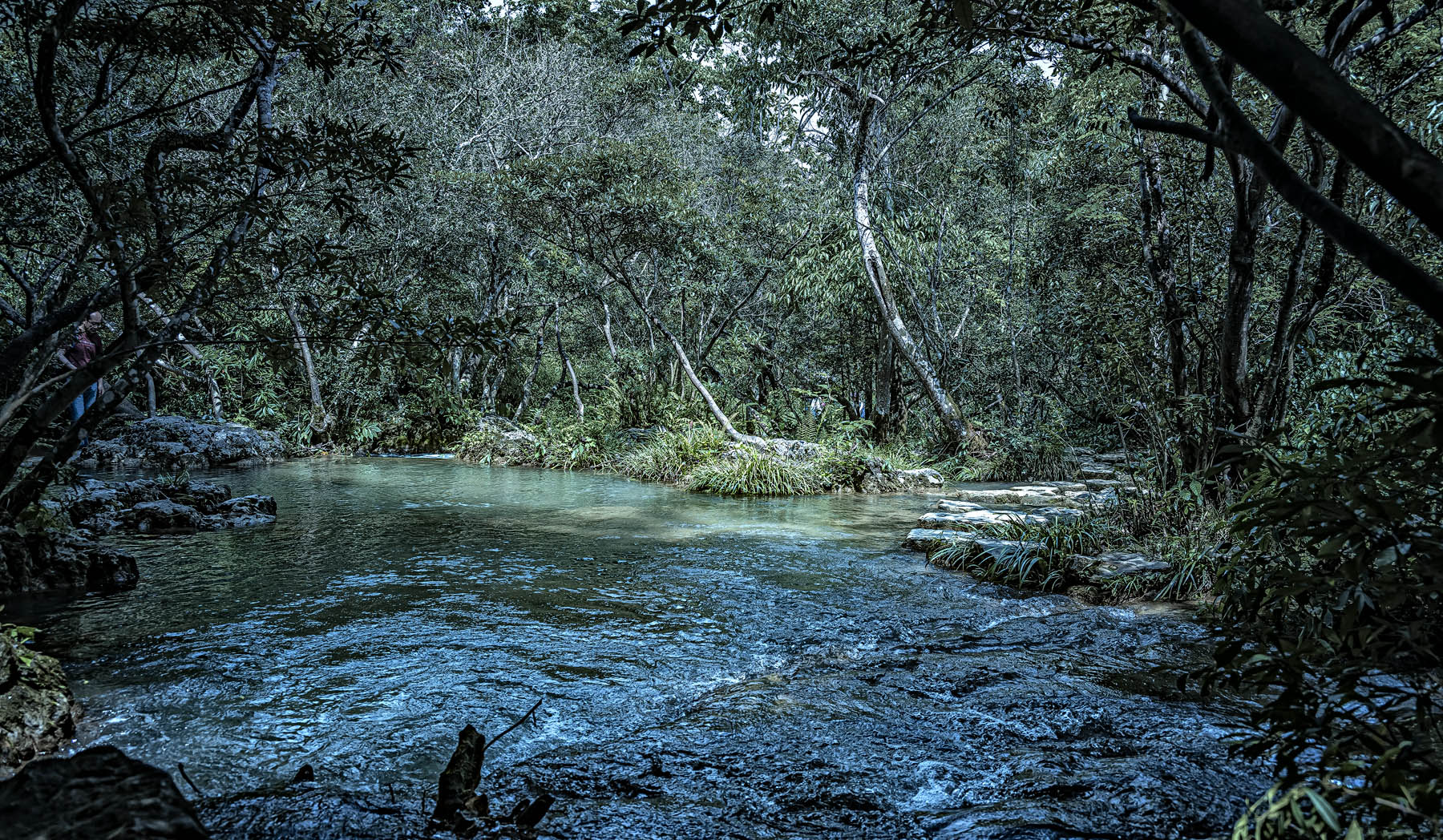 DSC_3179-1油画.jpg
