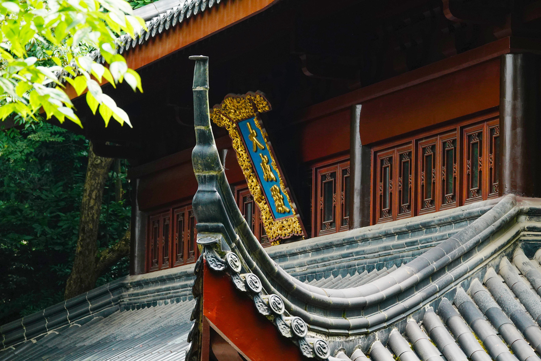 DSC04826_副本.jpg