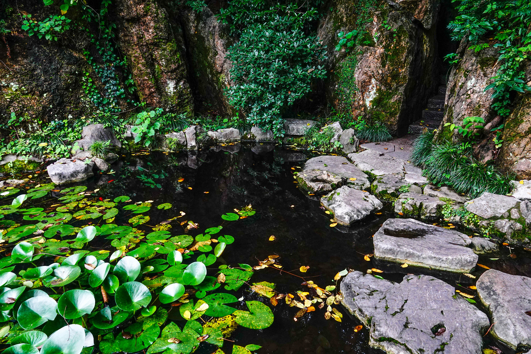 DSC04865_副本.jpg