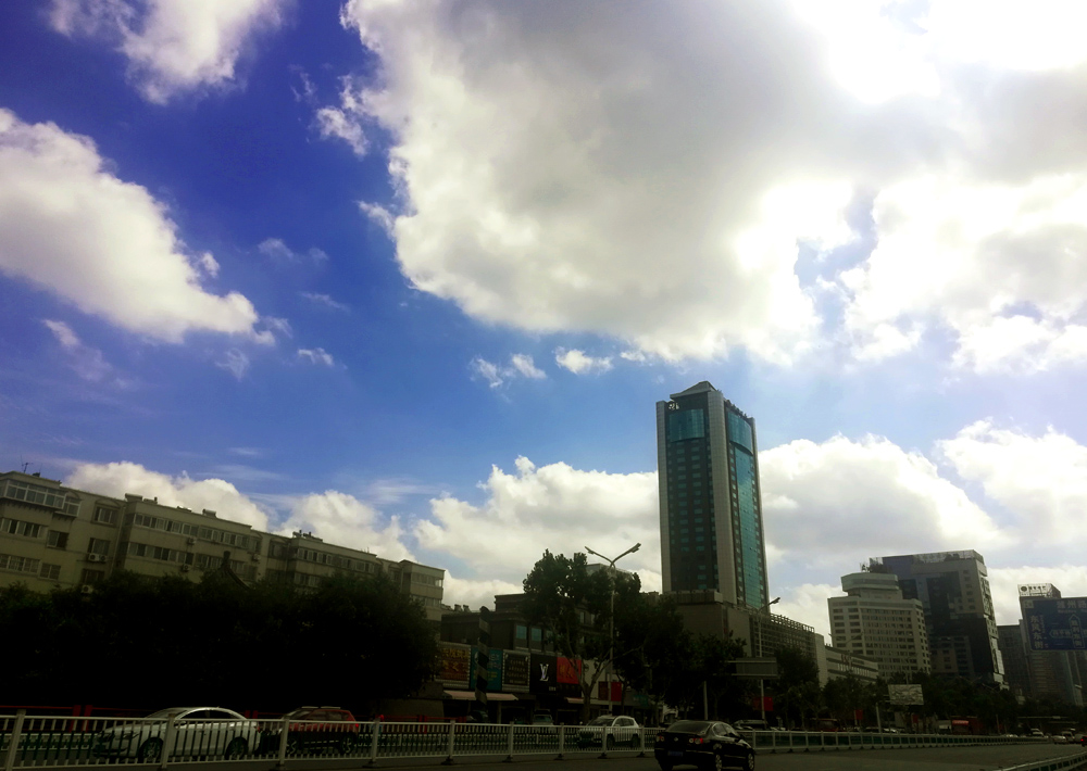 IMG_20210721_092920.jpg