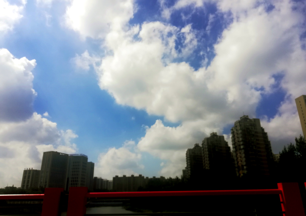 IMG_20210721_092935.jpg