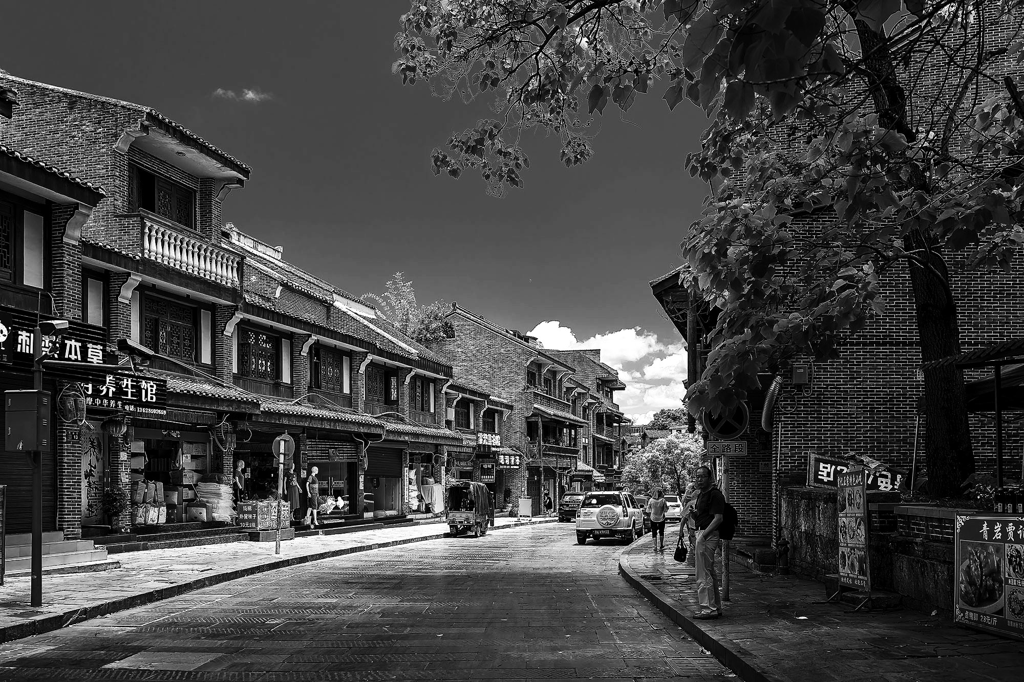 DSC_4585-1d.jpg