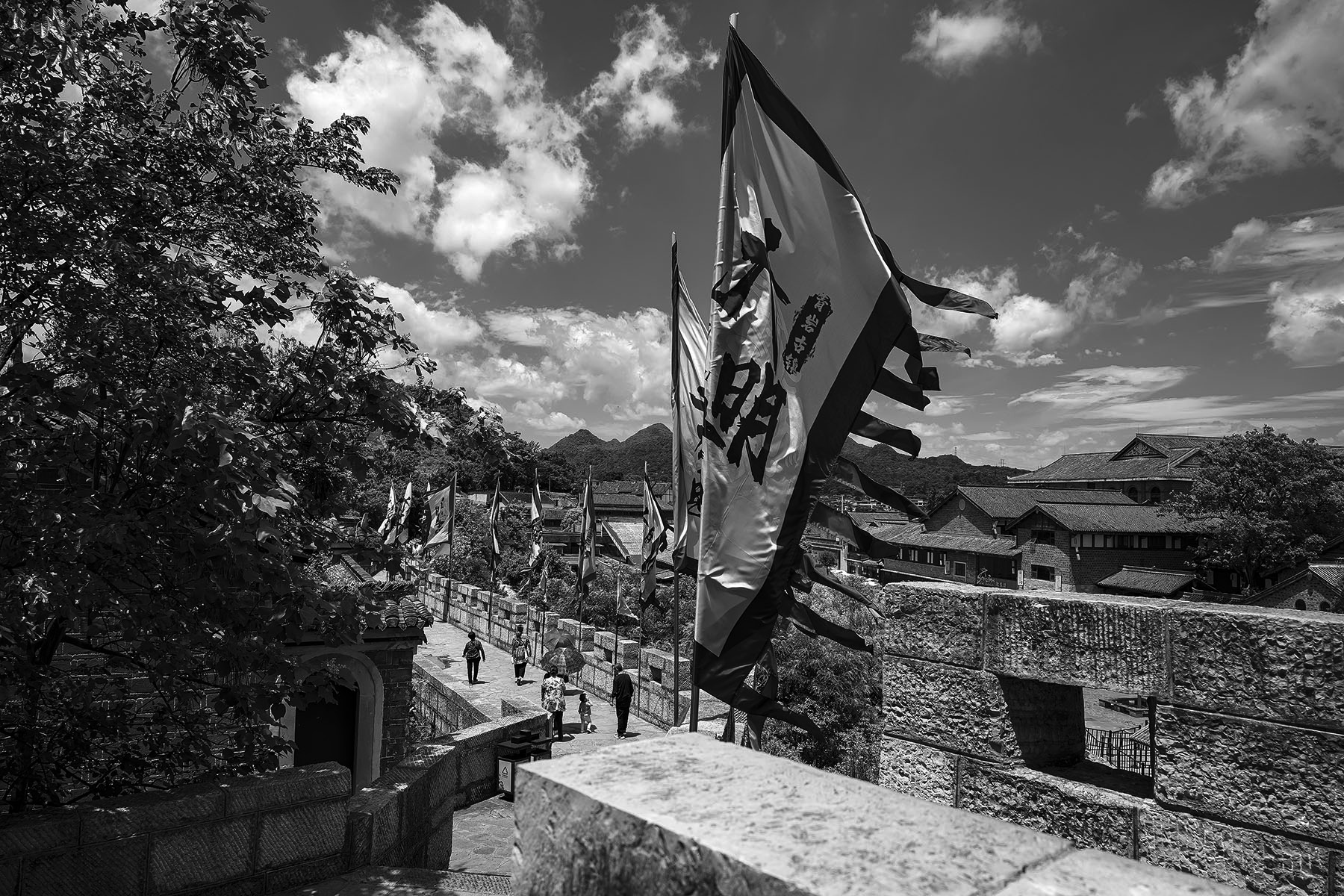 DSC_4566-1dzh.jpg