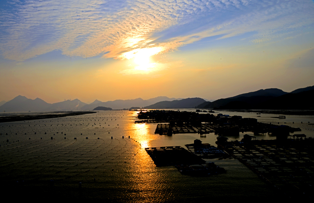 DSC_2668.JPG