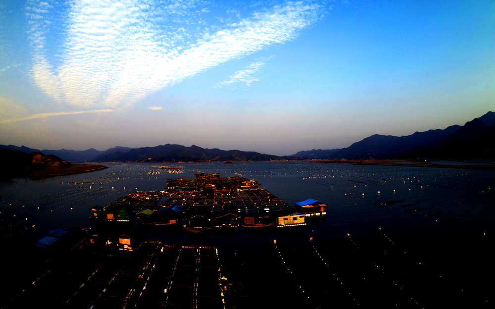 DSC_2675.JPG