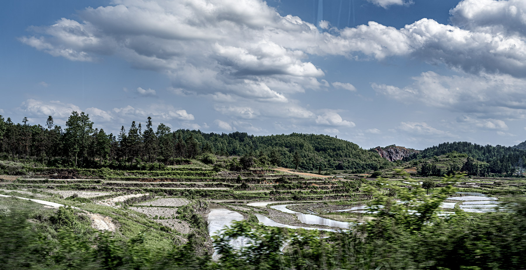 3DSC_4204-1.jpg