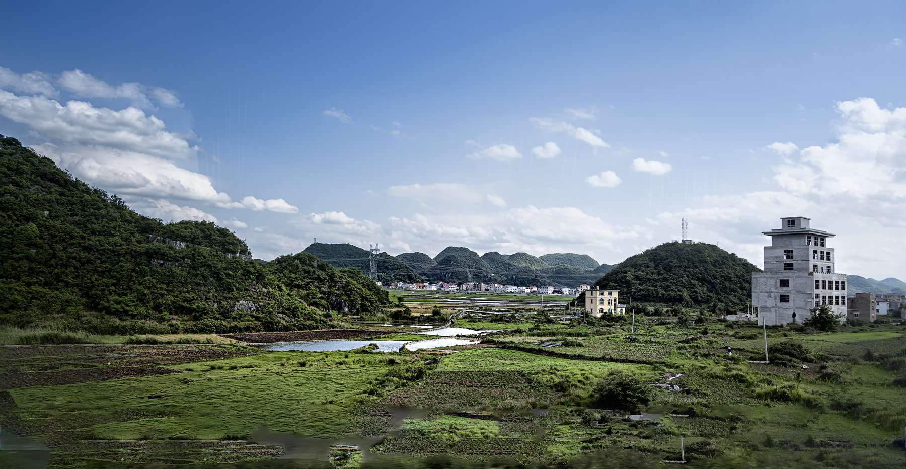 DSC_4223-1.jpg