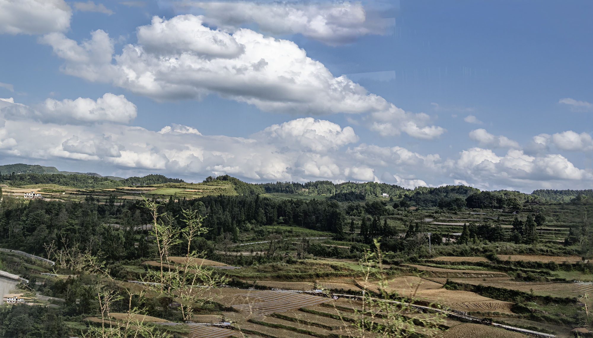 DSC_4251-1.jpg