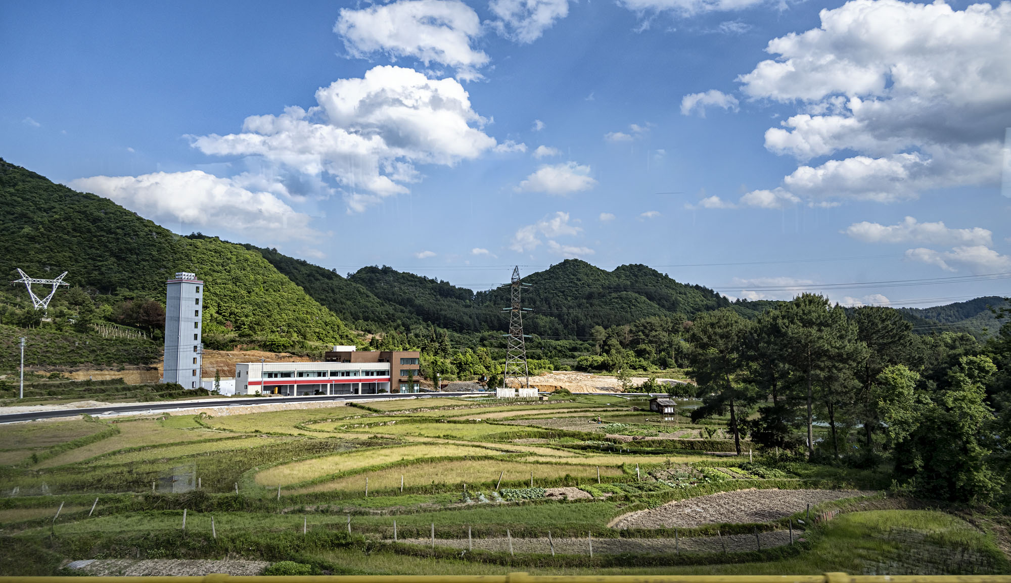 DSC_4273-1.jpg