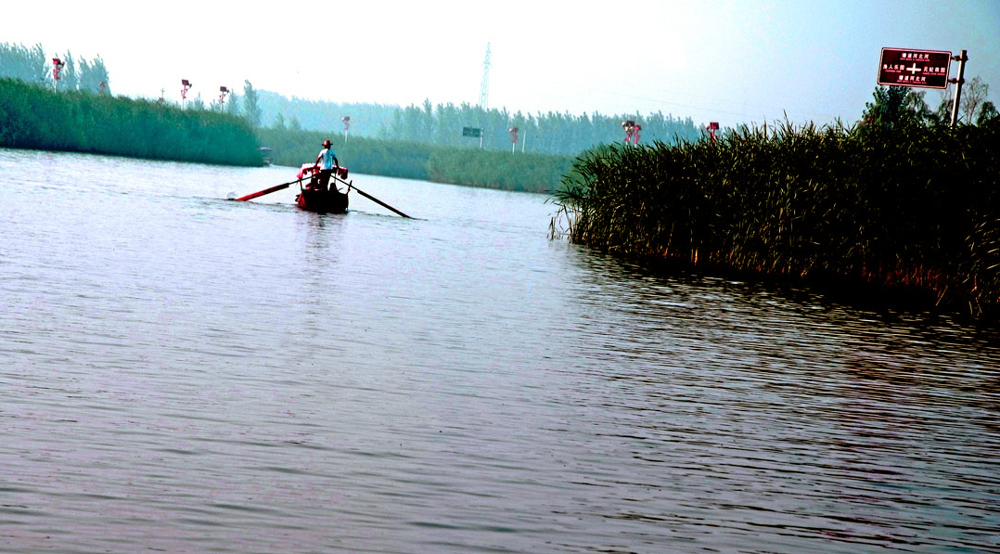 DSCF7705.JPG