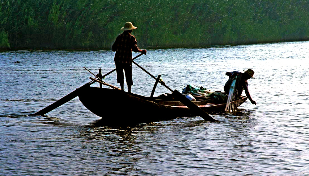 DSCF7764.JPG