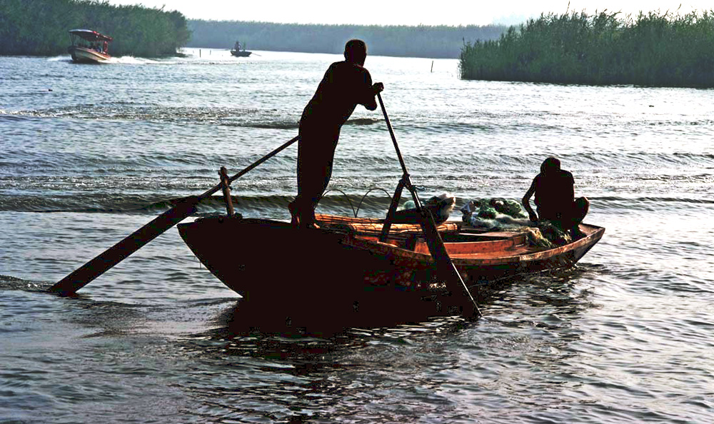 DSCF7781.JPG