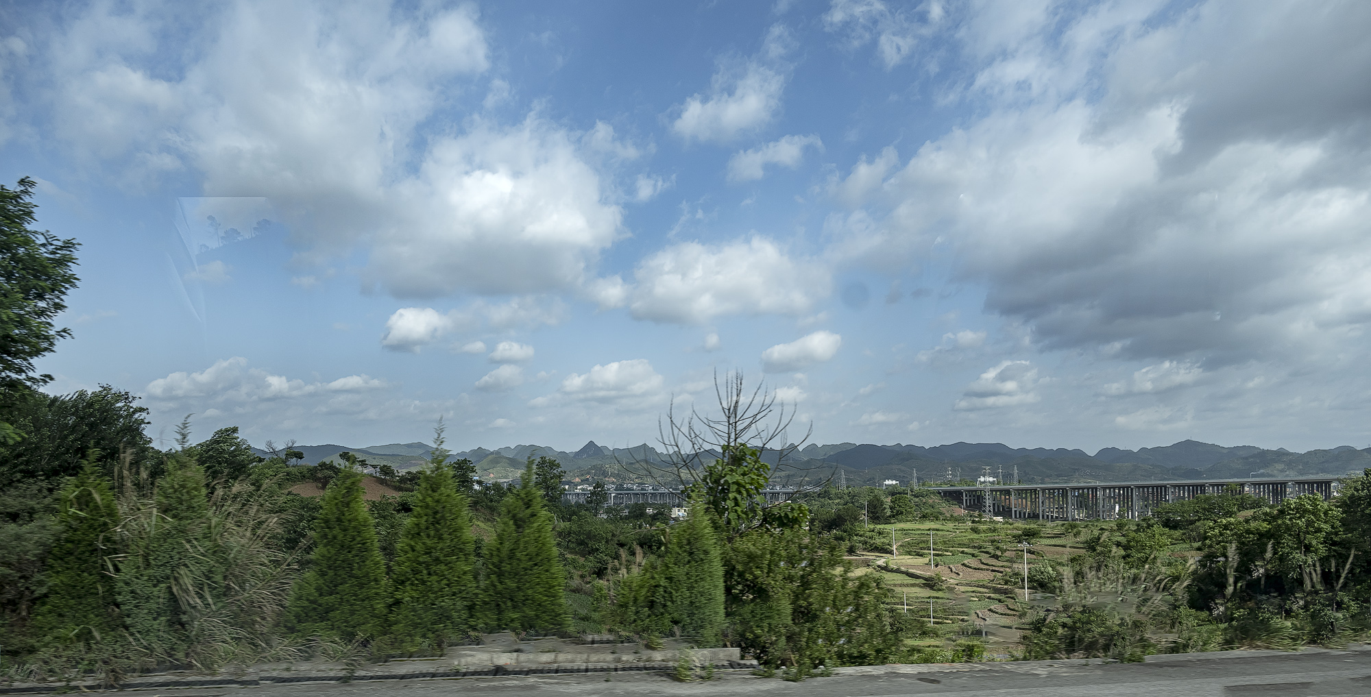 DSC_4604-1.jpg