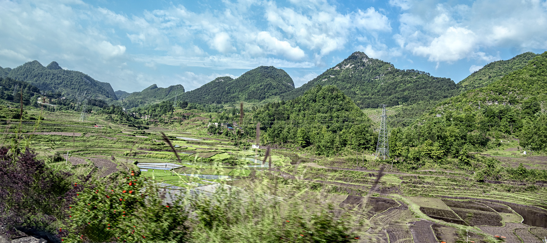 DSC_4658-1.jpg