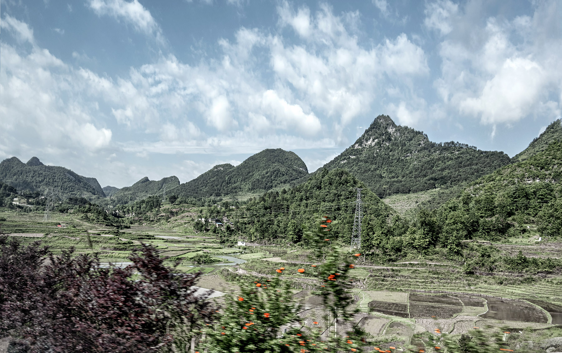 DSC_4657-1.jpg