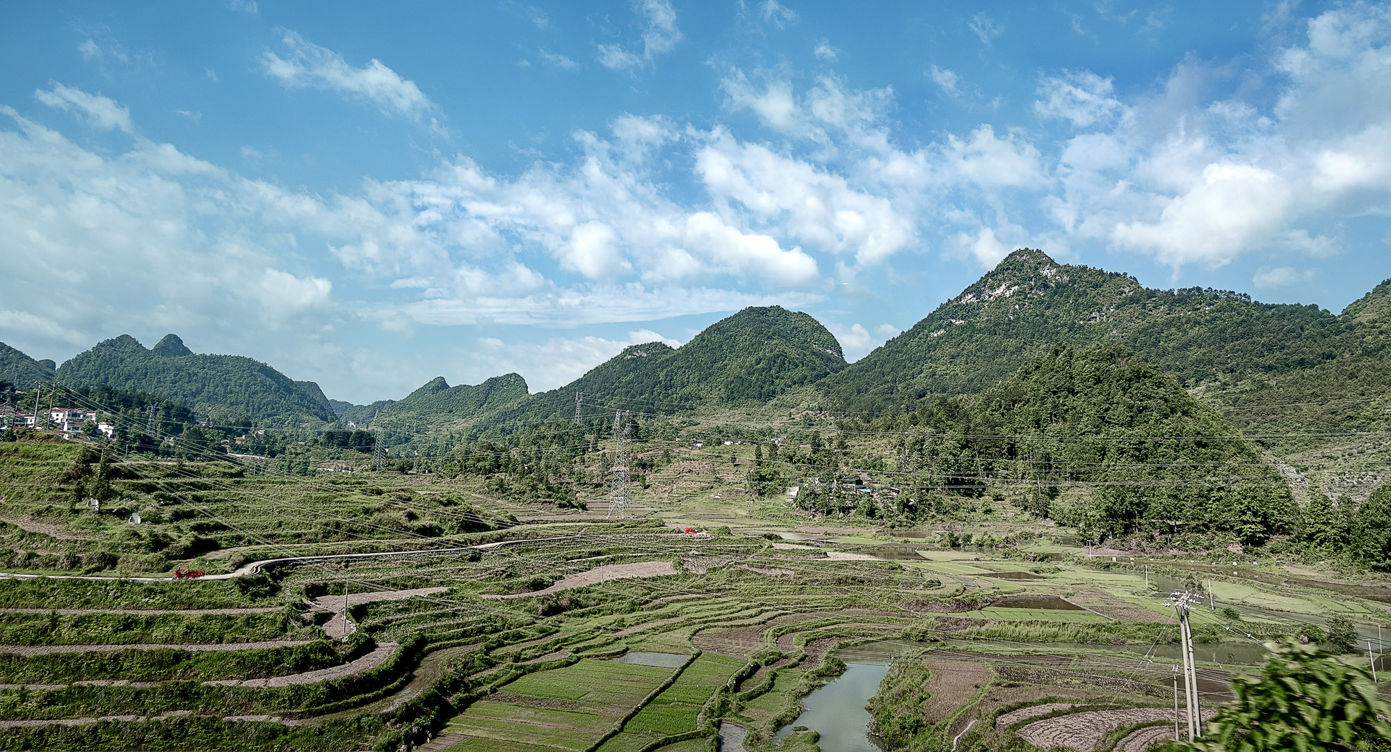 DSC_4660-1.jpg