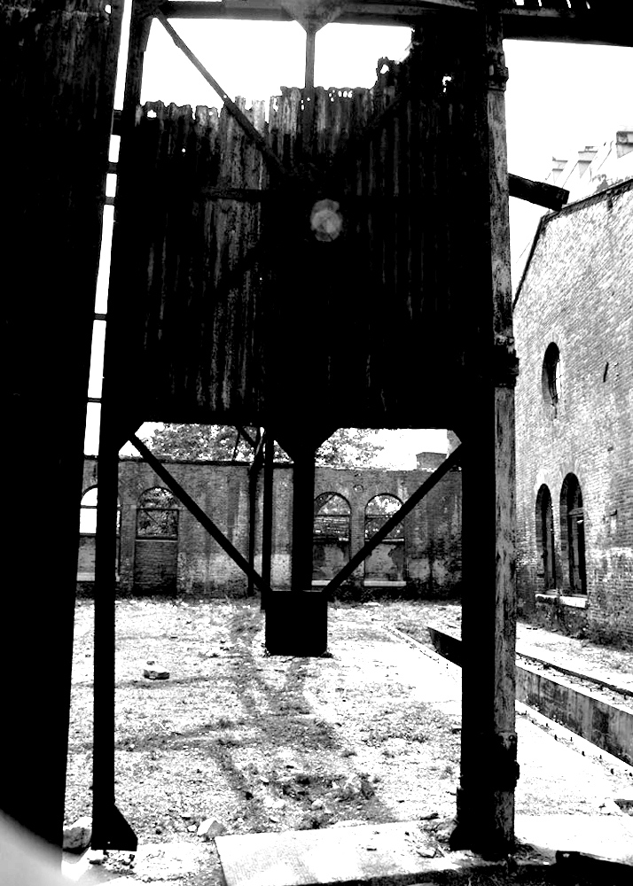 DSCF8854.JPG