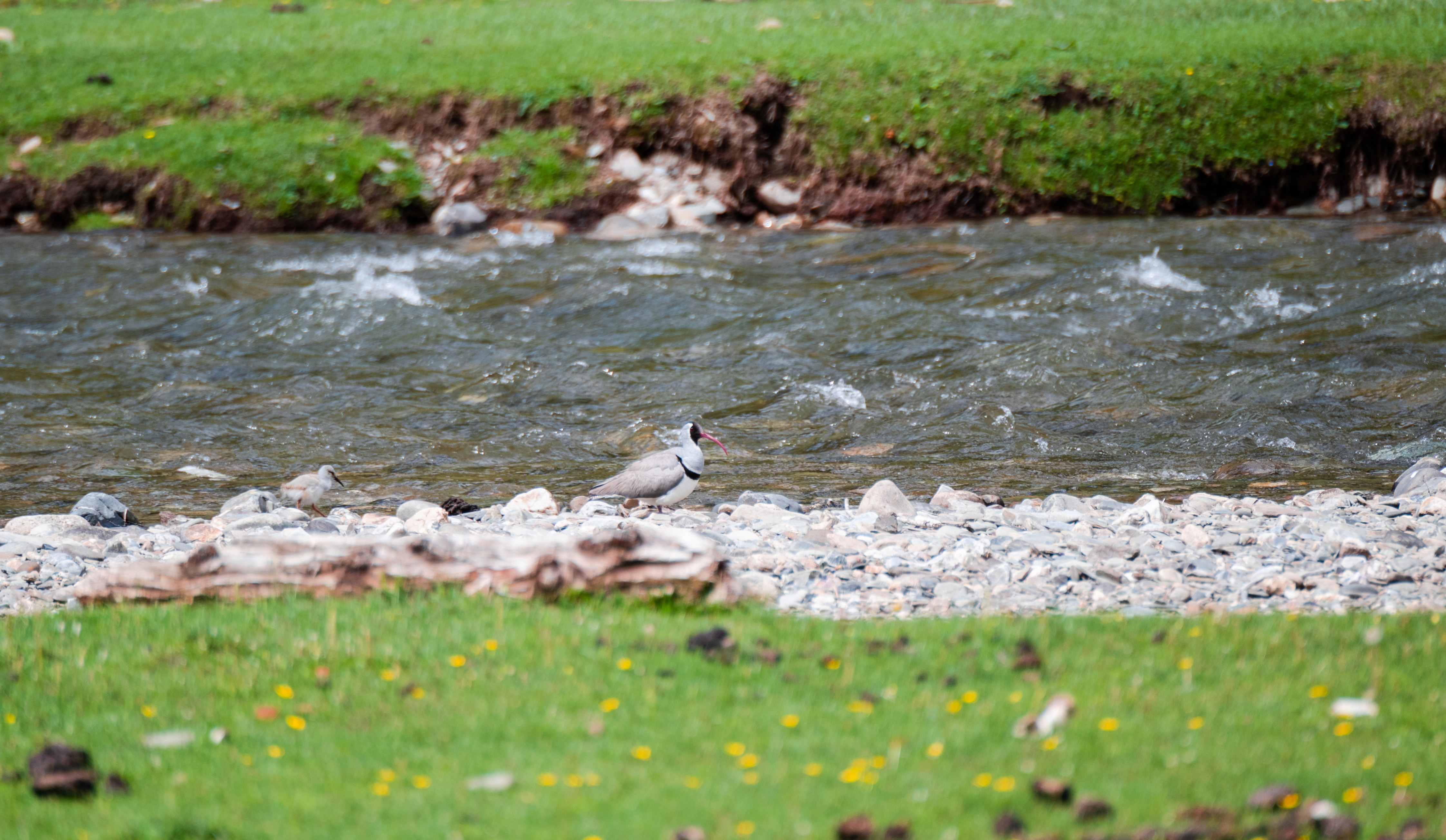 11DSC_3584.jpg