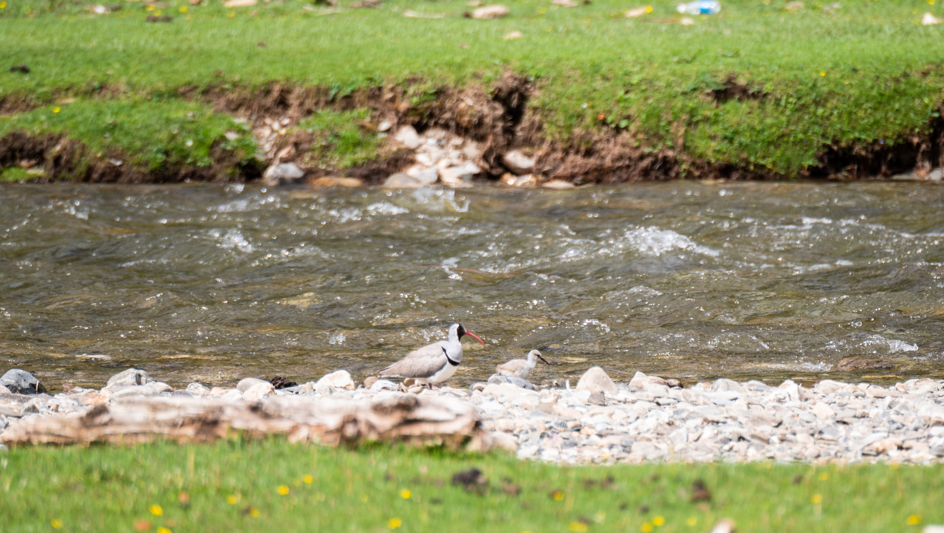 11DSC_3585.jpg
