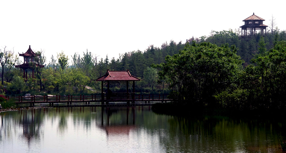 DSCF5470.JPG