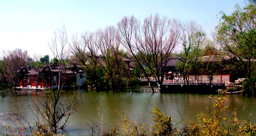DSCF5500.JPG