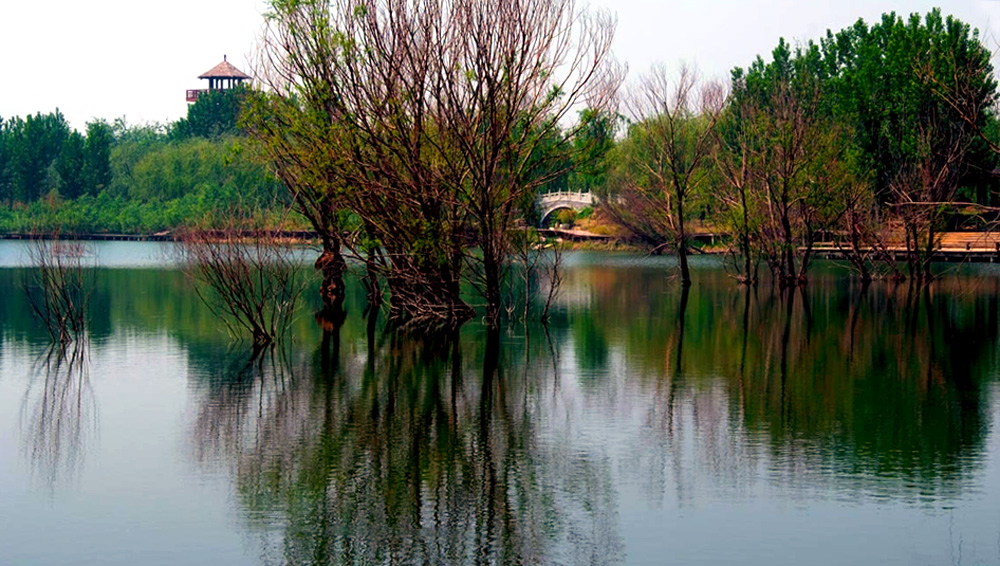 DSCF5518.JPG