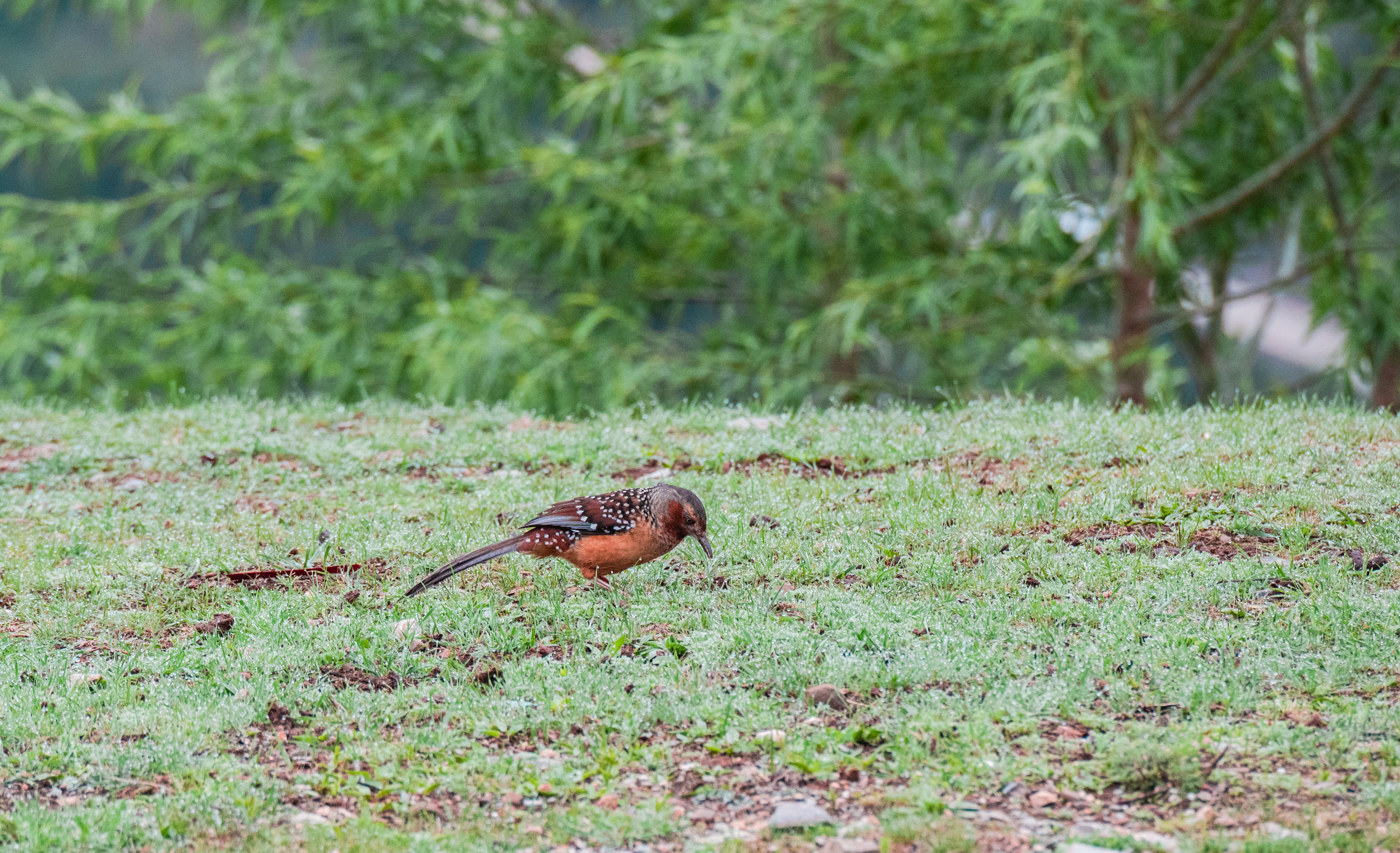 11DSC_3545.jpg