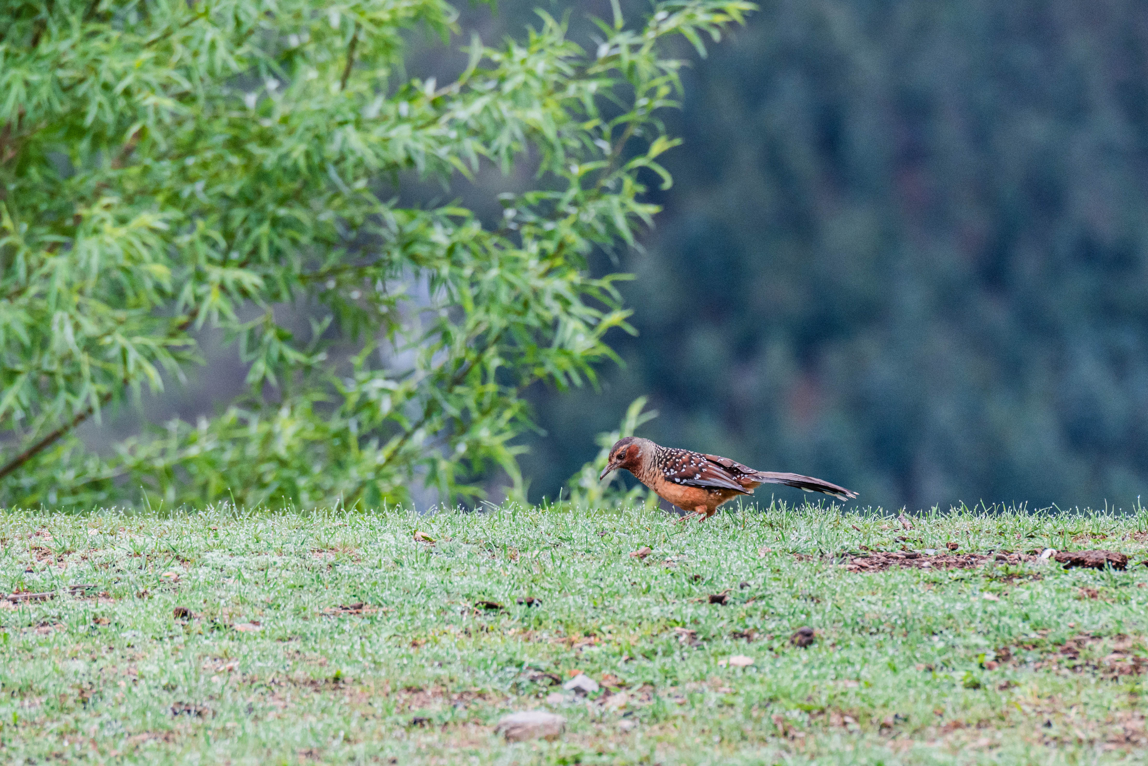 11DSC_3541.jpg