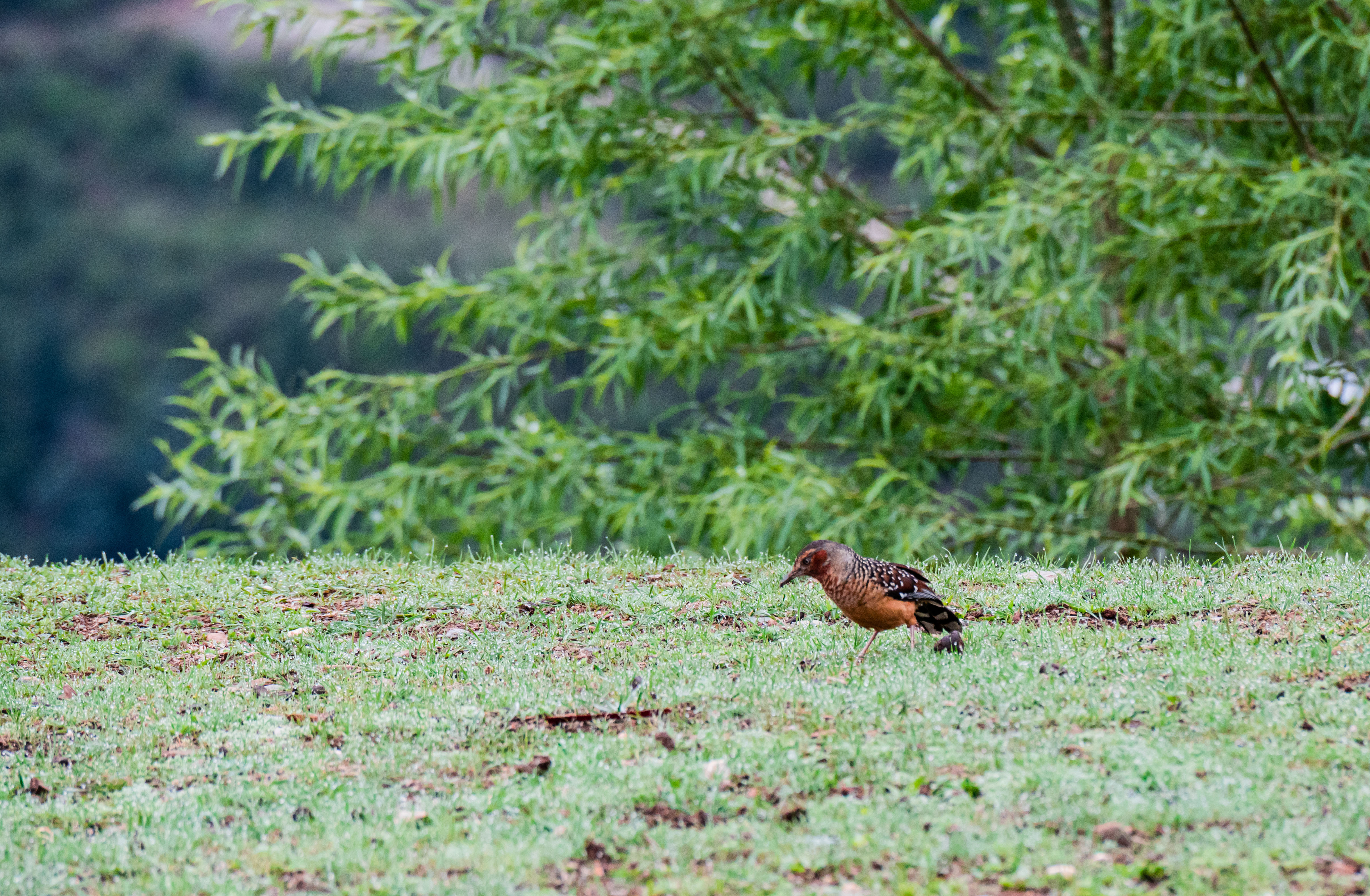 11DSC_3544.jpg