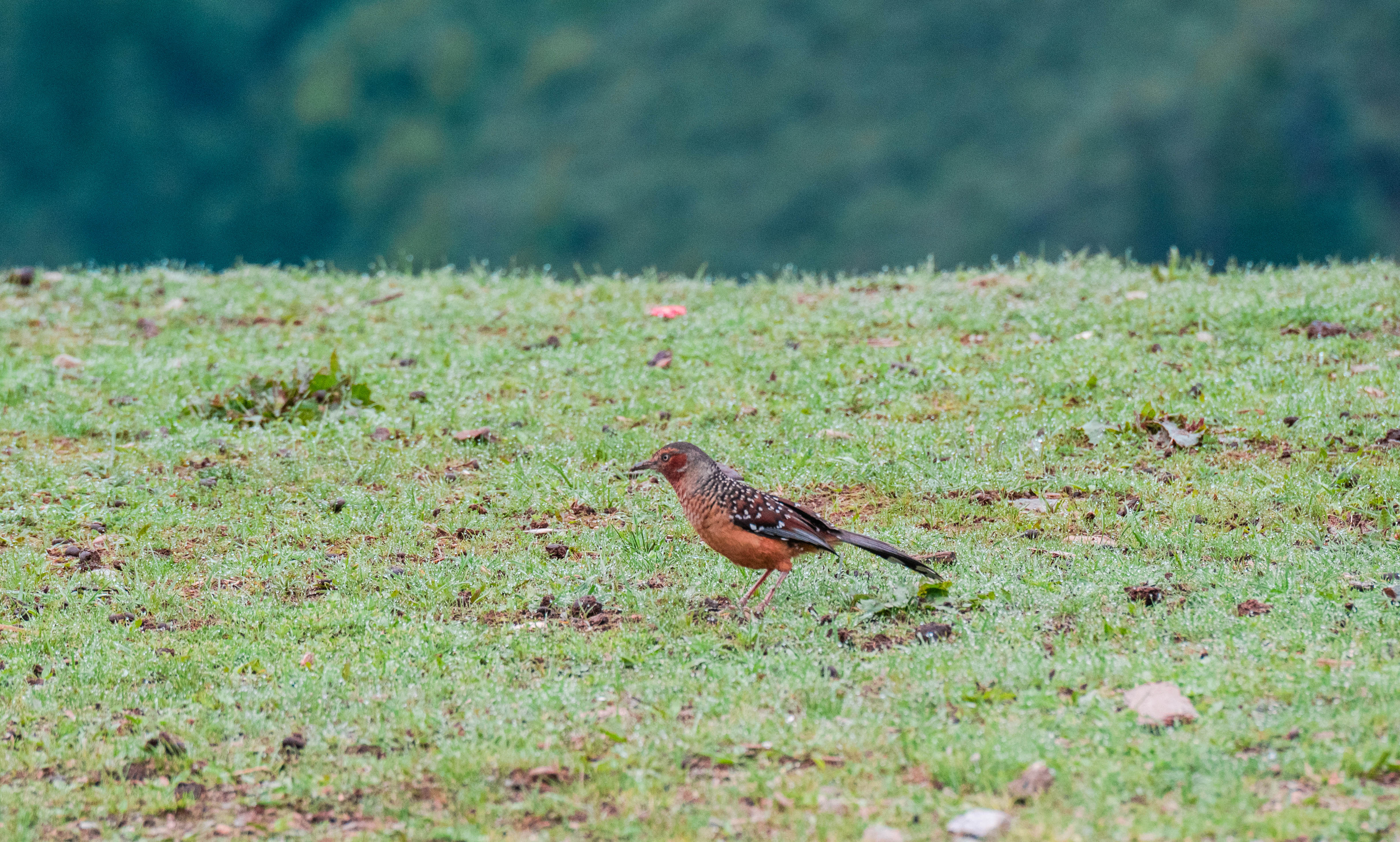 11DSC_3548.jpg