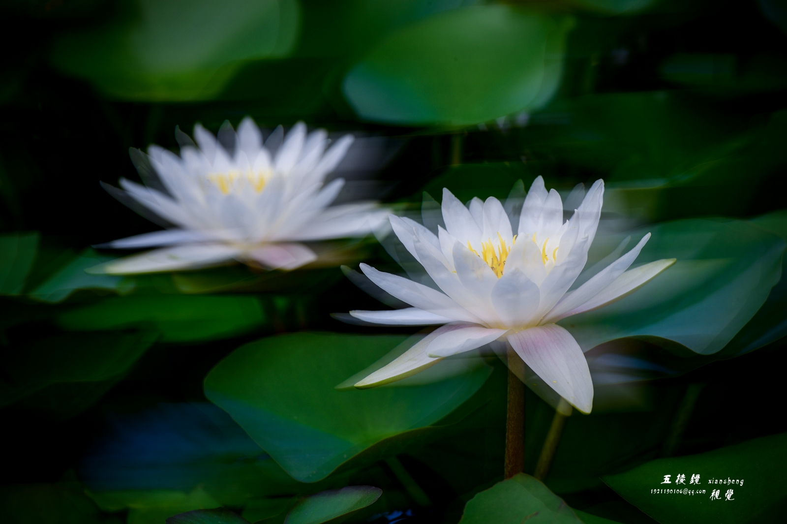 DSC_1357.JPG