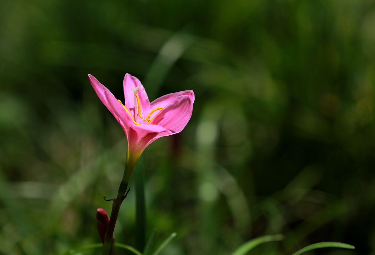 IMG_4472_副本.jpg