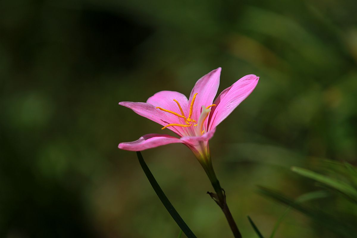 IMG_4473_副本.jpg